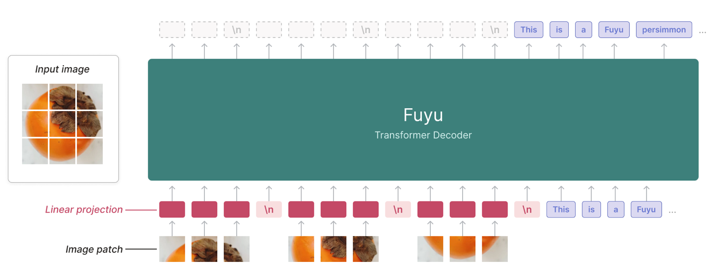 Fuyu: precess visual and textual information in a unified model.