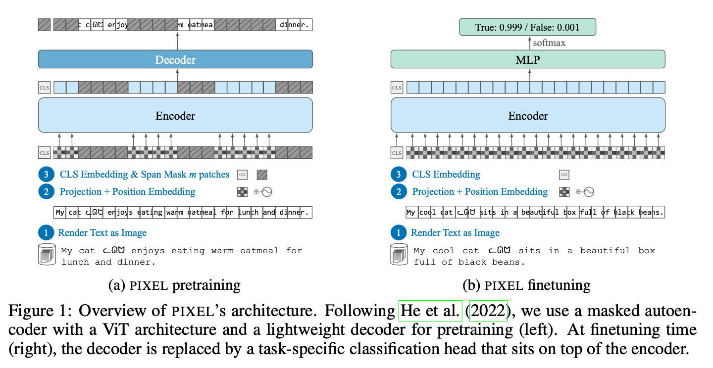 PIXEL: render text as images, ViT-MAE pretraining